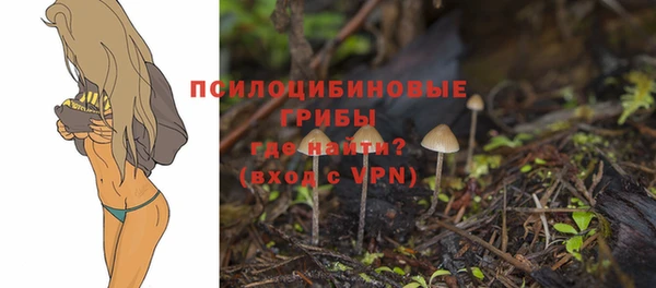 мескалин Приозерск