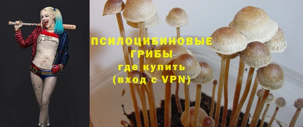 мескалин Приозерск