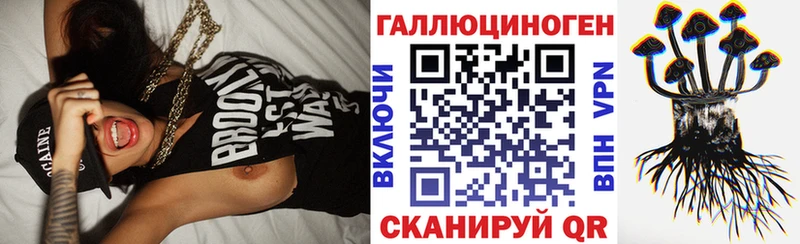 гидра рабочий сайт  цены наркотик  Алдан  Псилоцибиновые грибы Psilocybe 